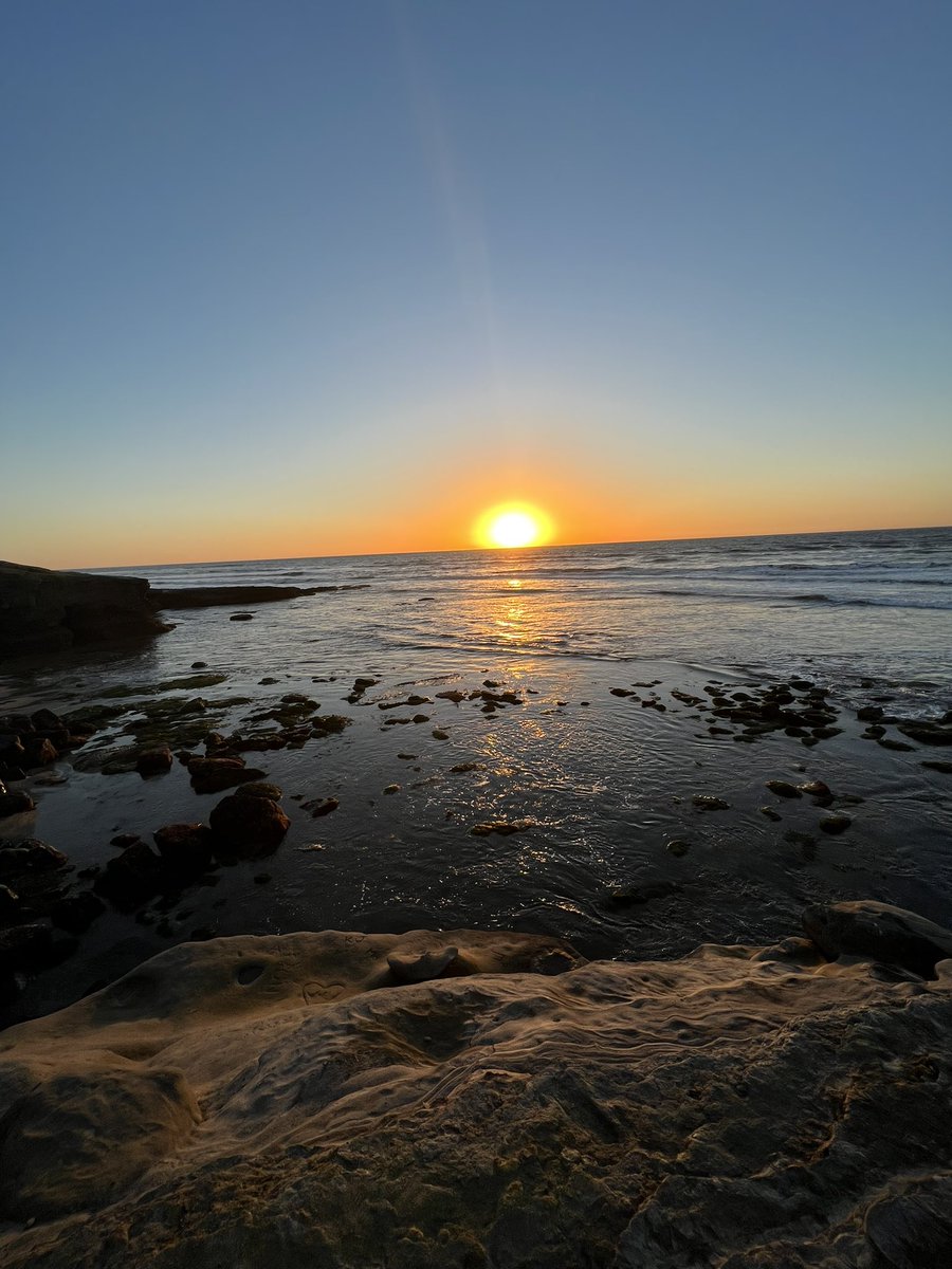 shellBg_'s tweet image. My Monday evening office today 😊