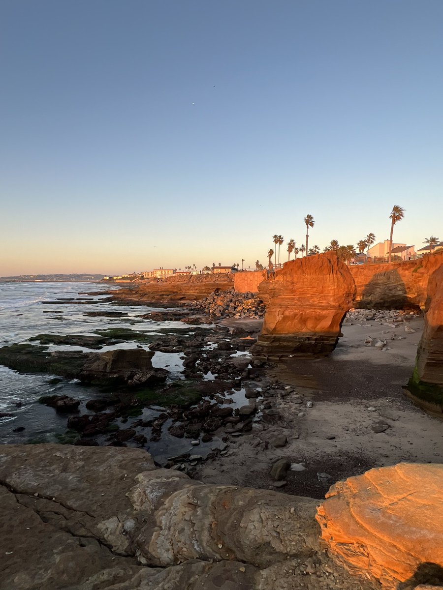 shellBg_'s tweet image. My Monday evening office today 😊