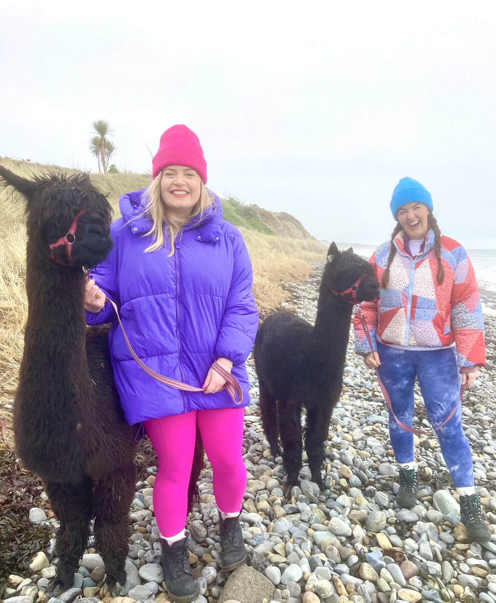 Cranfield Alpacas.com (@alpacascom) on Twitter photo Delighted to host the fabulous travel blogger #whereistara today with the fantastic Jess to beat those January blues. Enjoying a pamper break <a href="/KilleavyCastle/">Killeavy Castle Estate</a> with a rejuvenating alpaca beach trek! #cranfieldalpacas #alpacas #beachtrek #visitmourne #embraceagiantspirit #fun Delighted to host the fabulous travel blogger #whereistara today with the fantastic Jess to beat those January blues. Enjoying a pamper break <a href="/KilleavyCastle/">Killeavy Castle Estate</a> with a rejuvenating alpaca beach trek! #cranfieldalpacas #alpacas #beachtrek #visitmourne #embraceagiantspirit #fun