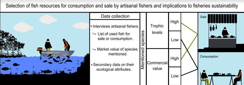 ecohe_e's tweet photo. Just published! Cunha et al. 2023. Selection of fish resources for consumption and sale by artisanal fishers and implications to fisheries sustainability (free pdf until March): https://t.co/QqNOVfyLqi https://t.co/PBFcHGak1x