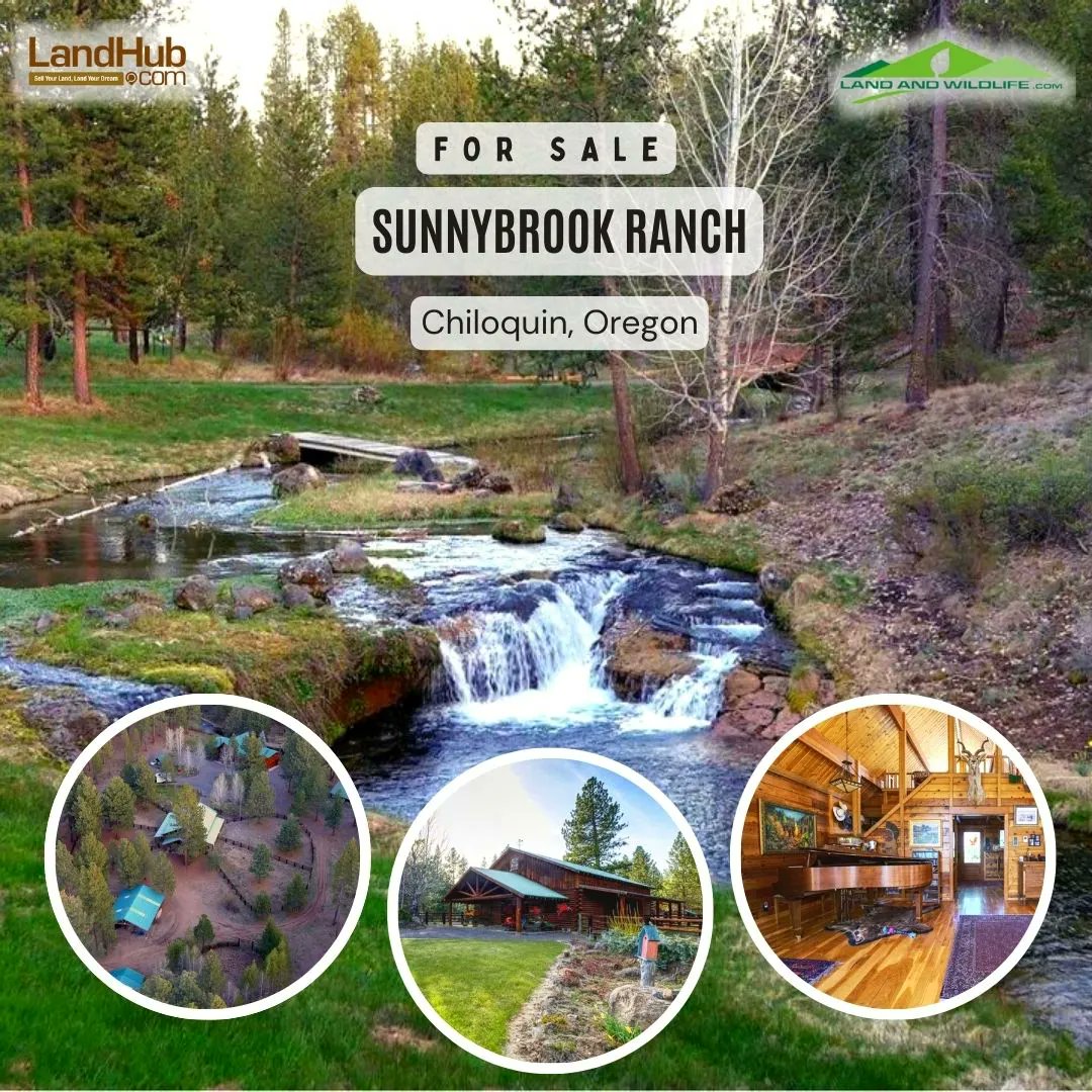 Beautiful Timber Framed Home on 115 Acres of Land 🏡🌲
Located on the Sunnybrook Creek in Chiloquin, #Oregon 🏞️ 
#mountainhome #creek #timber 

LEARN MORE 👉 bit.ly/3ZTRKoq