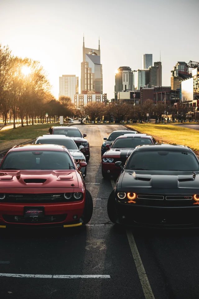 DailyMoparPics's tweet photo. #MoparMonday #DailyMoparPics https://t.co/lofUGPNS6W