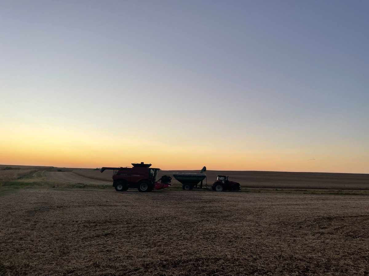 Kansas Soybean tweet media