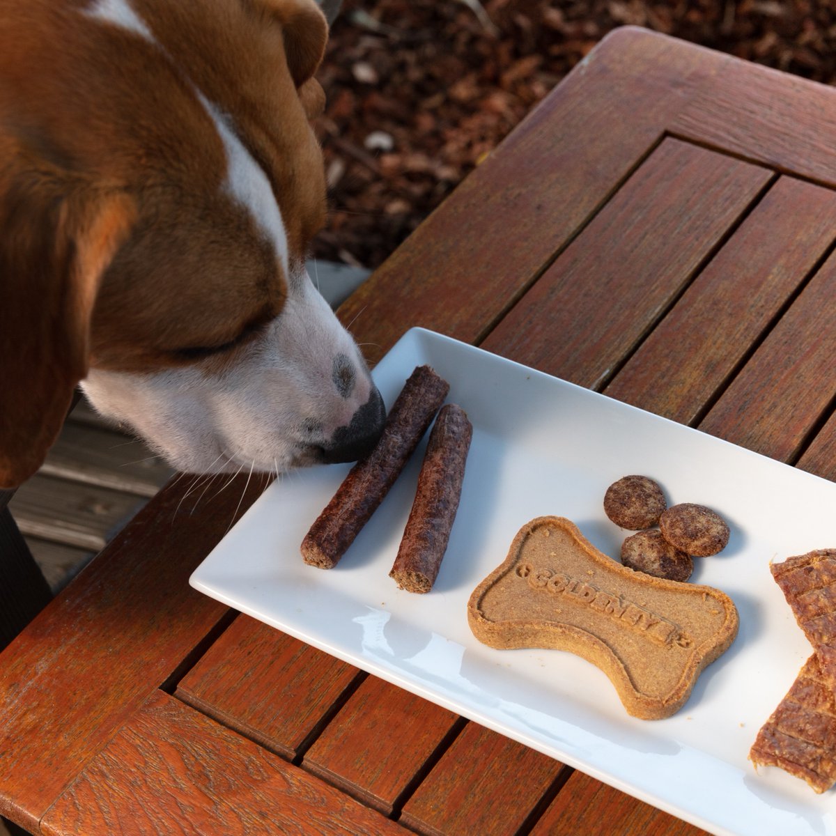 Penny wants to be sure her four-legged dog friends know to order a barkuterie board when they visit the tasting room!