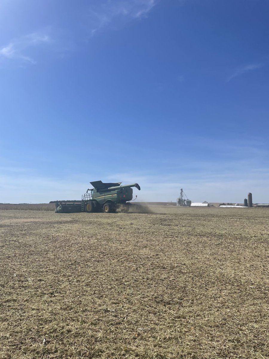 Kansas Soybean tweet media