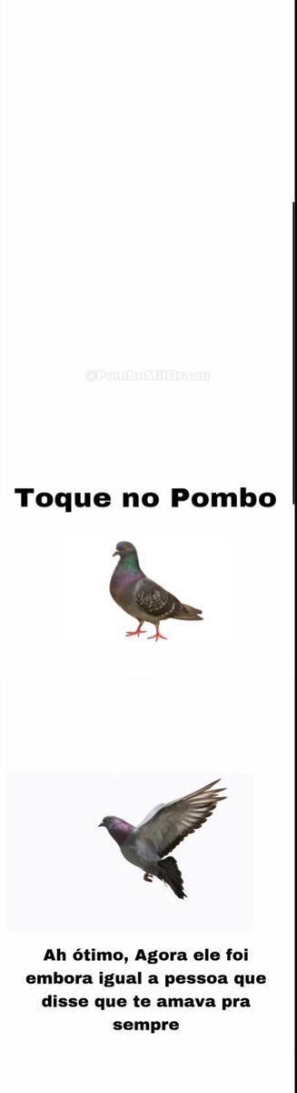 memes da vida (@memesdasuavida) on Twitter photo 