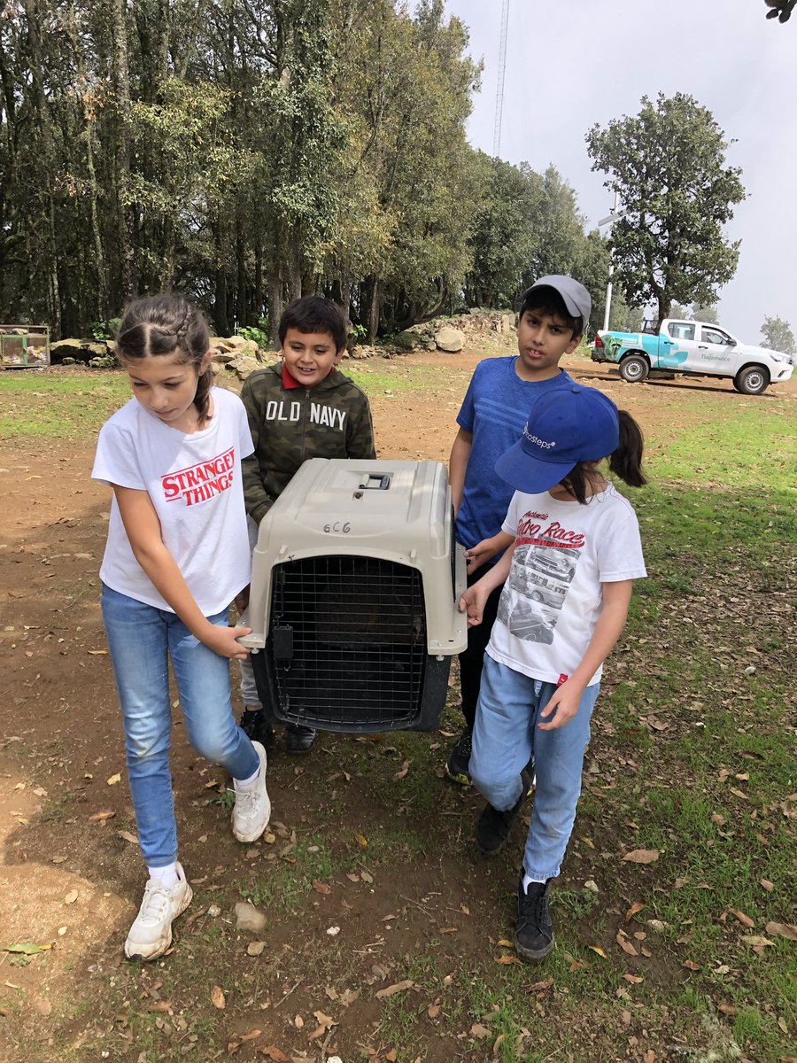 Jesus5Eco's tweet photo. @AURORAmusic thanks for deciding to come to Guadalajara, Mexico! I know you’re pretty aware and interested in nature and its conservation, we would like to invite you to set free some rescued wild animals during ur visit. 🌎🌱🦌🦉https://t.co/oTcmgO7axh https://t.co/wr84XfvH8p