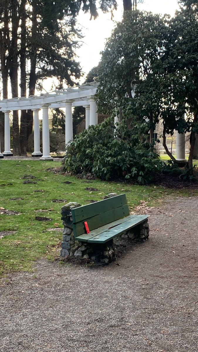 HeavinSarah's tweet image. #monkeyshines2023