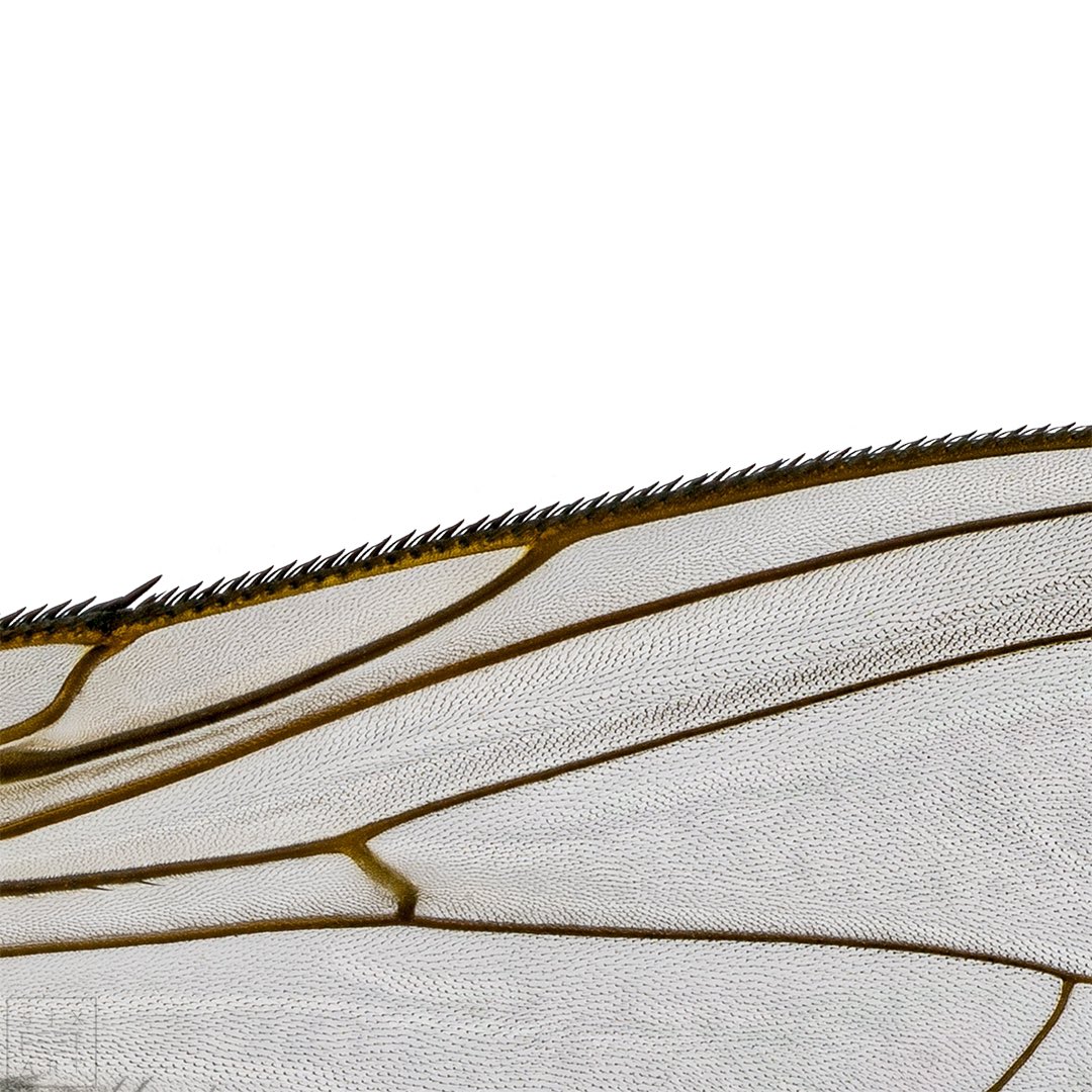 중세인쇄소 on Twitter: