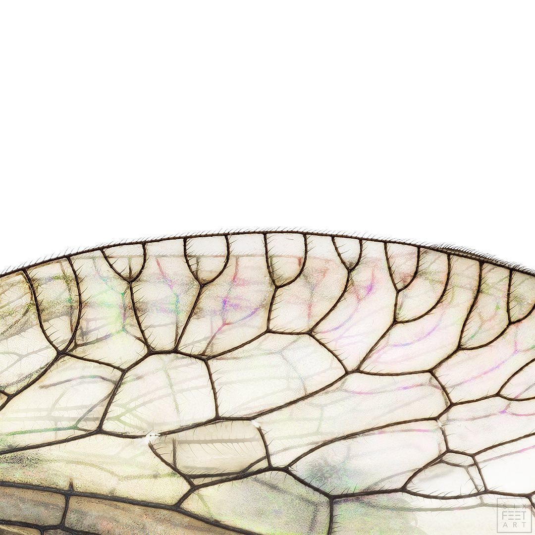 Thorben Danke tweet media