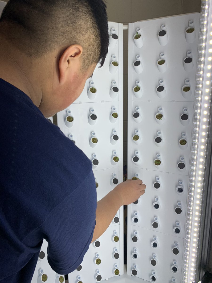 MrsMMurph's tweet photo. Students at @DCEMS67 planted our green star and romaine seedlings in our @ForkFarms unit today! Kids are so excited to harvest lettuce in 3-4 weeks. Again, huge thanks to Greenheck Foundation, Delta Dental, and the Everest Foundation for the grant money that made this possible! https://t.co/OPkaKYM7qh