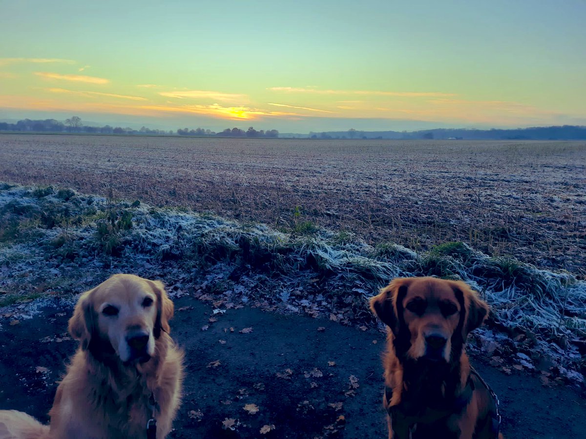 Gute Nacht Twitter Welt 🥱😴💤