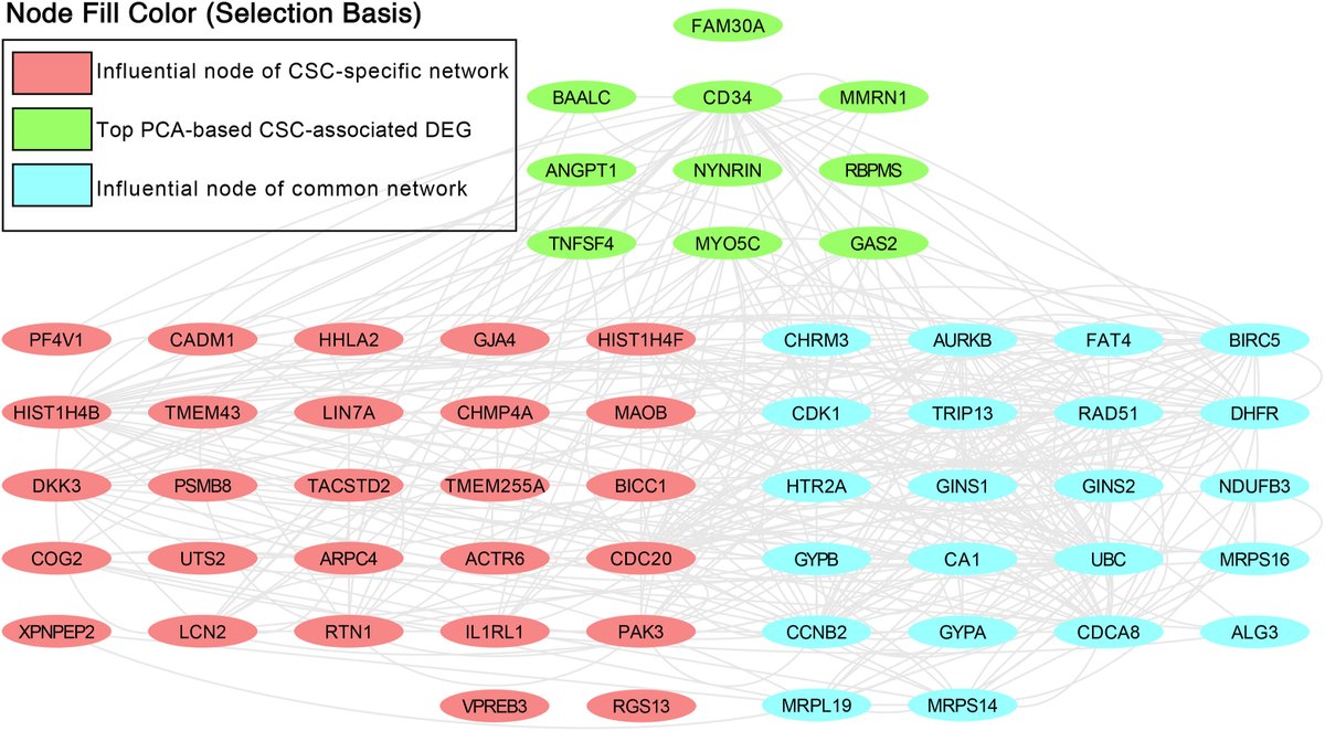 mania_abbas's tweet photo. I am excited to announce that the second paper of my Ph.D. (regarding AML CSCs) was recently published in #Heliyon, #Cell_Press. Thanks to my supervisors, Peter Currie and Mirana Ramialison, and all others who contributed, especially @alaei_sara.

https://t.co/YjVnBgh2pl https://t.co/MC2ZV3c591