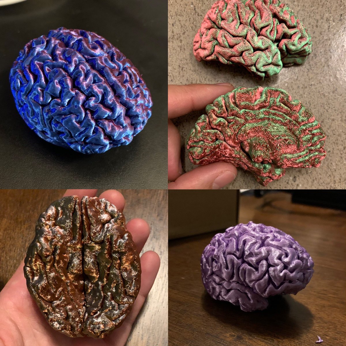 Katelyn I. Oliver tweet media