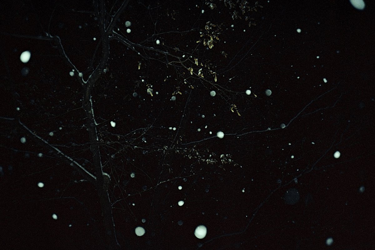 simon_diamond's tweet photo. Flash snow.
Olympus LT-1
Santacolor 100
FFP C-41 kit
#believeinfilm #1990sCameraChallenge @ShittyChallenge https://t.co/BQMO42HCCn