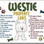 Photo by Partha Howell / Major Mckenzie / Capt.Norman #ZSHQ (@ParthaHowell)