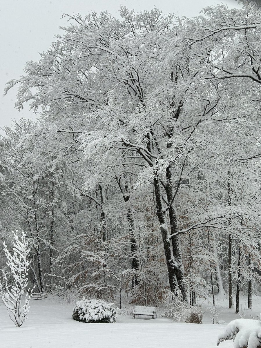 repsmitty34's tweet photo. Even with snow I love living in #BESTernmass https://t.co/Nidrj6SSbs