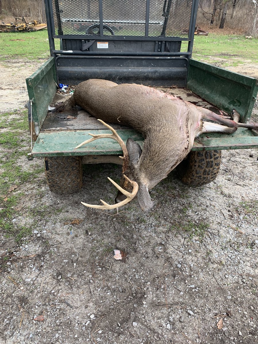 DixieVet84's tweet image. Loaded Up. #norma #deerhunting #dpms