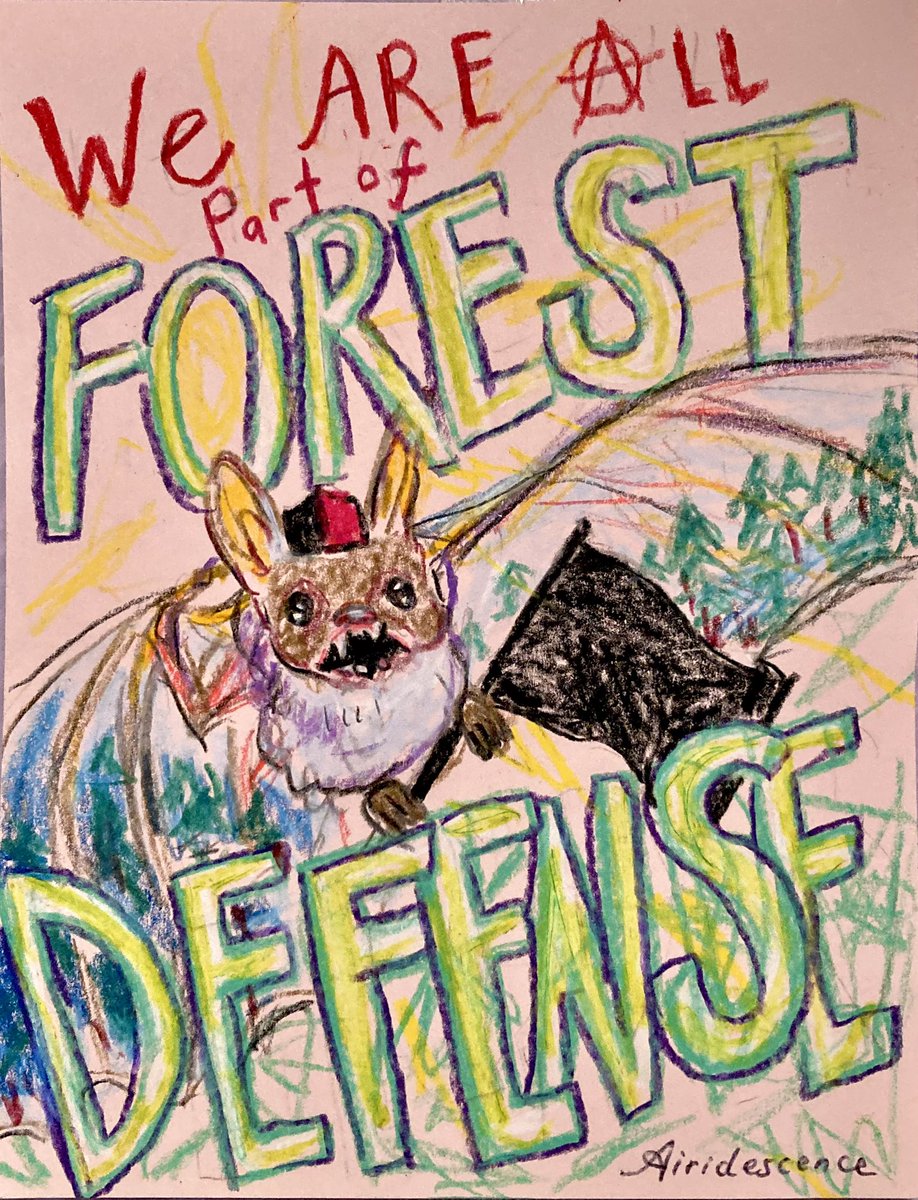 Day 18 of anarchism and foxes and bats 🦇☀️