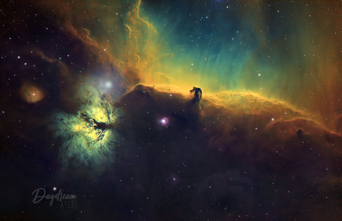 T a s t e   t h e   R a i n b o w 🌈⃤

New data on IC434 - Horsehead Nebula 

SW ED80 
EQ6 AZGT 
ZWO294 mm Pro 
3nm filters by @Optolong_filter
Ha - 3hrs
Sii - 3hrs
Oiii - 3hrs 
Processed in @Photoshop
9hrs total integration 
#astro #astrohour #astrophotography