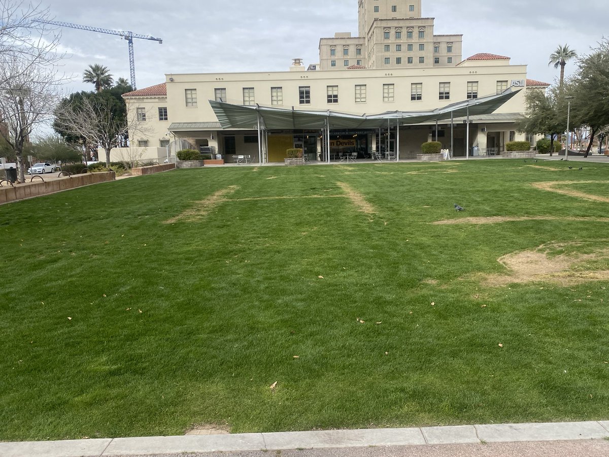 DLedahl's tweet photo. Nothing like fresh green grass in the middle of January #OnlyInPhoenix ππβοΈ https://t.co/u8jhHLixN5