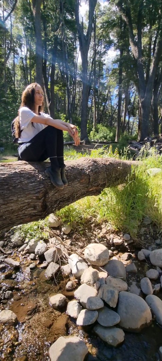 Vero Albornoz tweet media