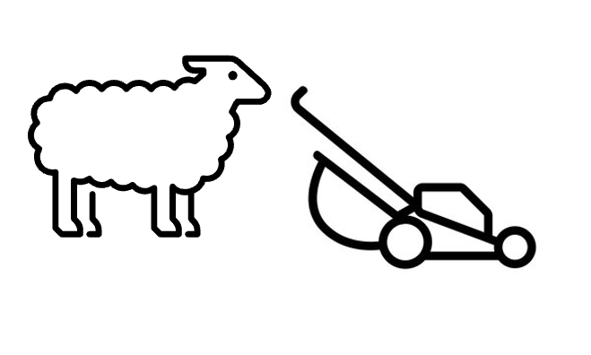 Would you like to understand the psychological effects 
of urban sheep grazing on college campuses? Really,  who wouldn't? This research is for you:
pubmed.ncbi.nlm.nih.gov/36674034/

<a href="/UCDavisResearch/">UC Davis Research</a> <a href="/UCDavis/">UC Davis</a> <a href="/UCDavisMed/">UCDavisMedSchool</a> <a href="/UCDavisHealth/">UC Davis Health</a> <a href="/UCDavis_HPM/">Health Policy & Management at UC Davis</a> <a href="/UCDavis_PHS/">UC Davis Public Health Sciences 😷</a> <a href="/csdresearch/">csdresearch</a>