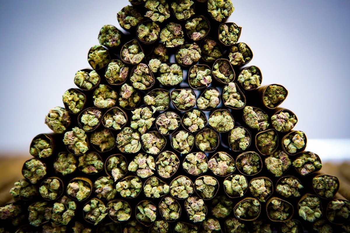 Common Citizen tweet media