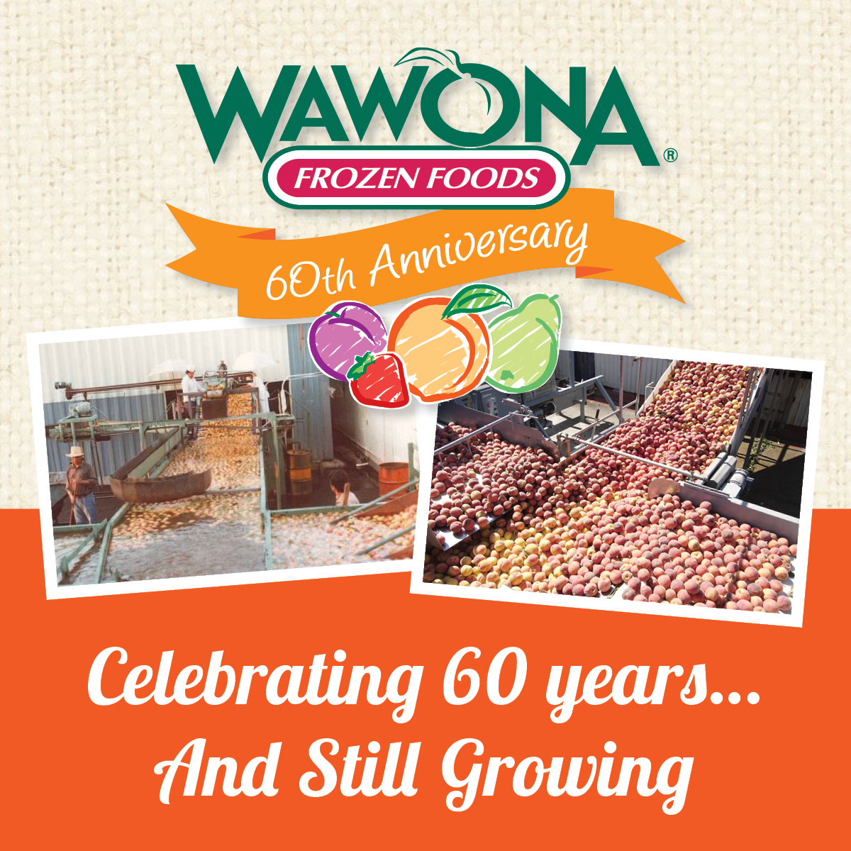 It was 60 years ago this month that Earl Smittcamp founded Wawona Family Foods and began producing and processing frozen fruits. Earl saw the opportunity to extend the shelf life for their local peaches and strawberries and provide year ‘round fresh frozen fruit.