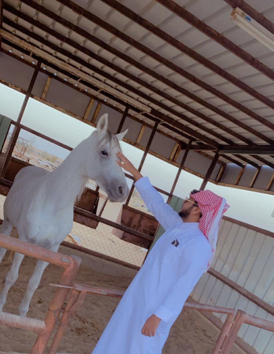 1__Moh's tweet photo. إن تعدت سبّق الخيل ماني بمغلوب
كل حزّة بالليالي لها رجاّلها

مهرتي مجنونة الريح بعروقي تذوب 
وإن عطت فِج الفيافي وسيعٍ بالها

سقتها من فرعة الشمس وشْفاه الهبوب
ليه مايلفح رسنها وأنا خيّالها https://t.co/nZ477Q4pbj