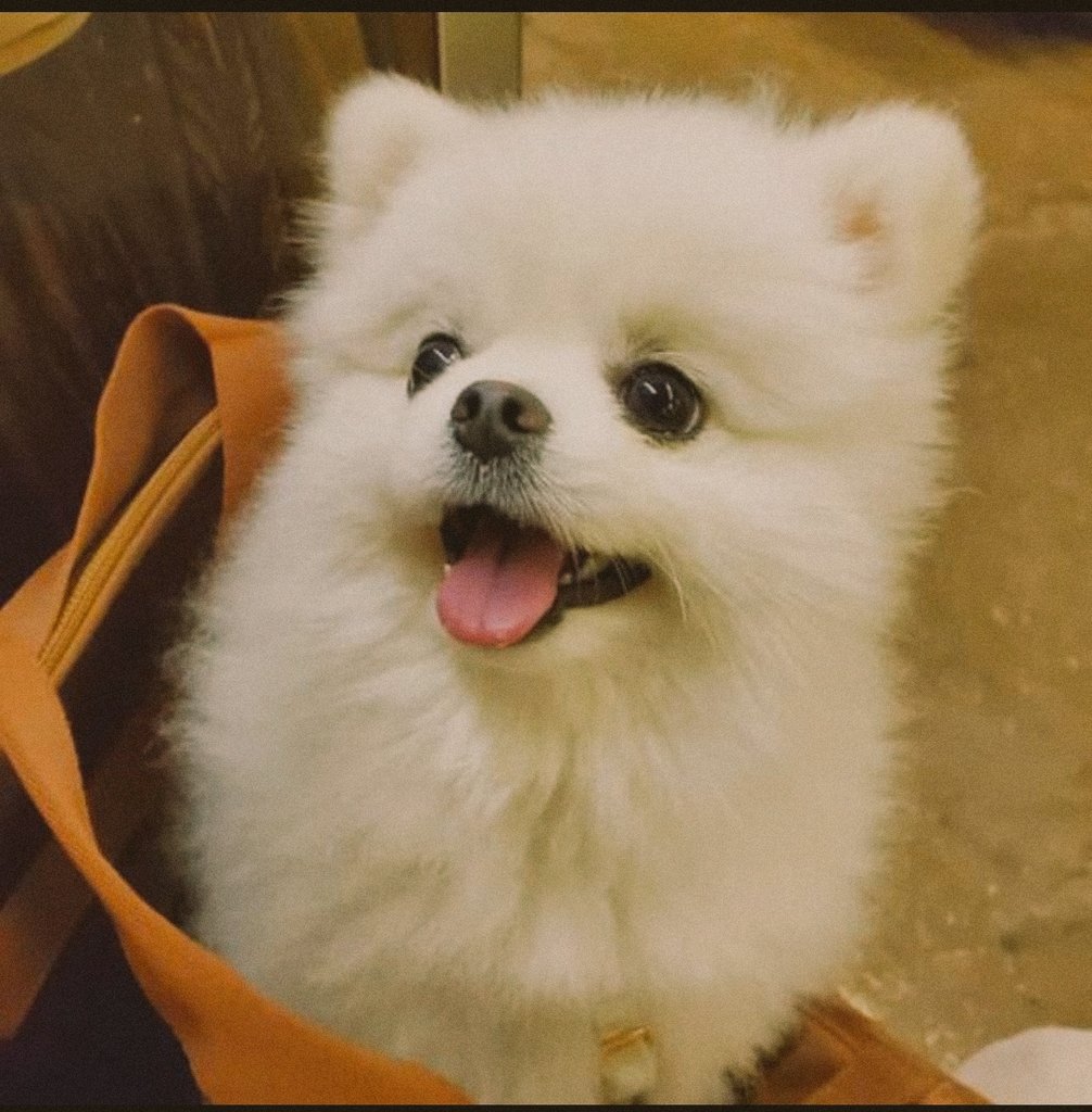 Yang Dong (@yangdong90) on Twitter photo 