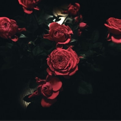 Yang Dong (@yangdong90) on Twitter photo 