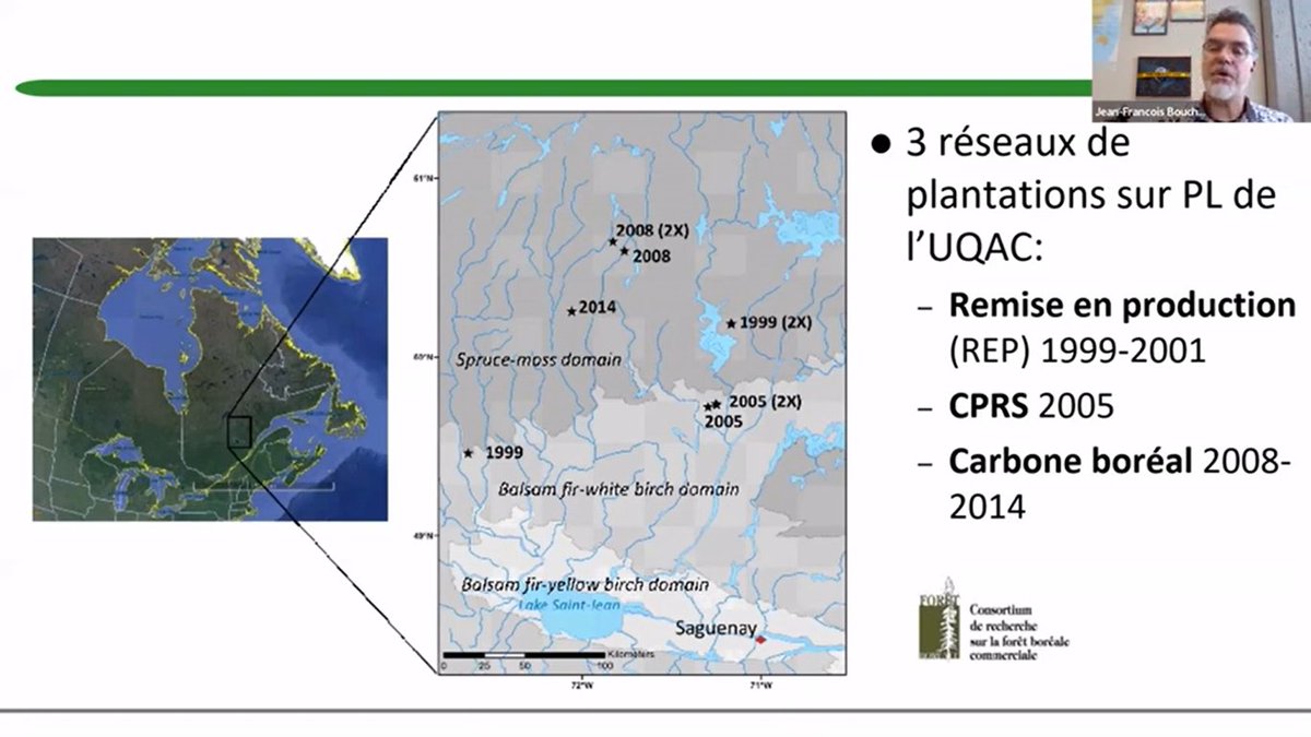 RebLigniQc's tweet photo. Si vous n'avez pas pu assister au dernier webinaire @RebLigniQc sur les ''Conséquences du #scarifiage sur le bilan #carbone du #boisement de landes à lichens de la #forêt_boréale aménagée, vous pouvez le visionner sur ce lien de notre chaine YouTube:
https://t.co/t7lgowKGB3 https://t.co/ECqQlWbkpG