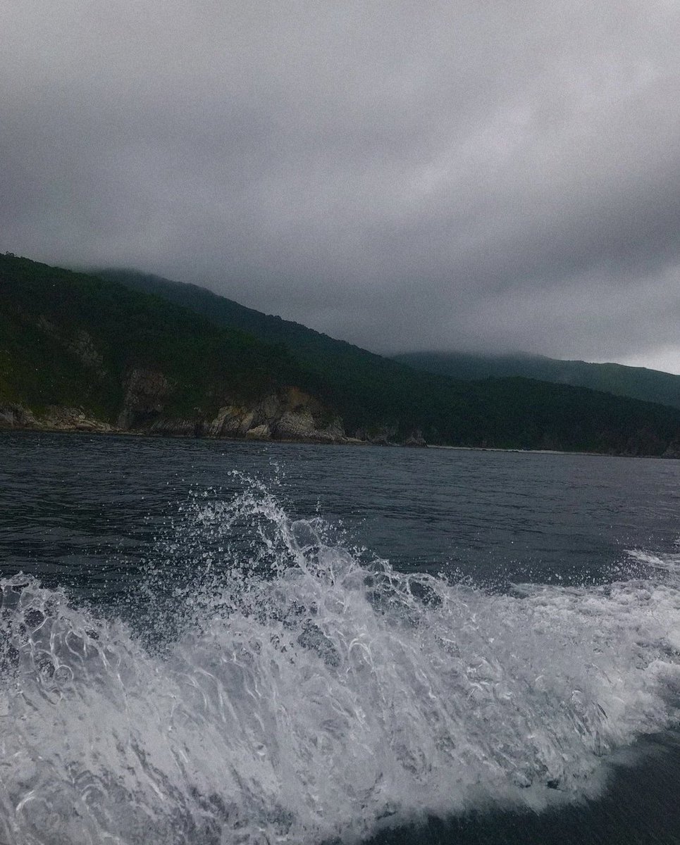 Yang Dong (@yangdong90) on Twitter photo 