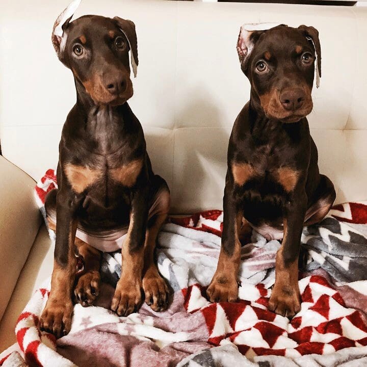 Yang Dong (@yangdong90) on Twitter photo 