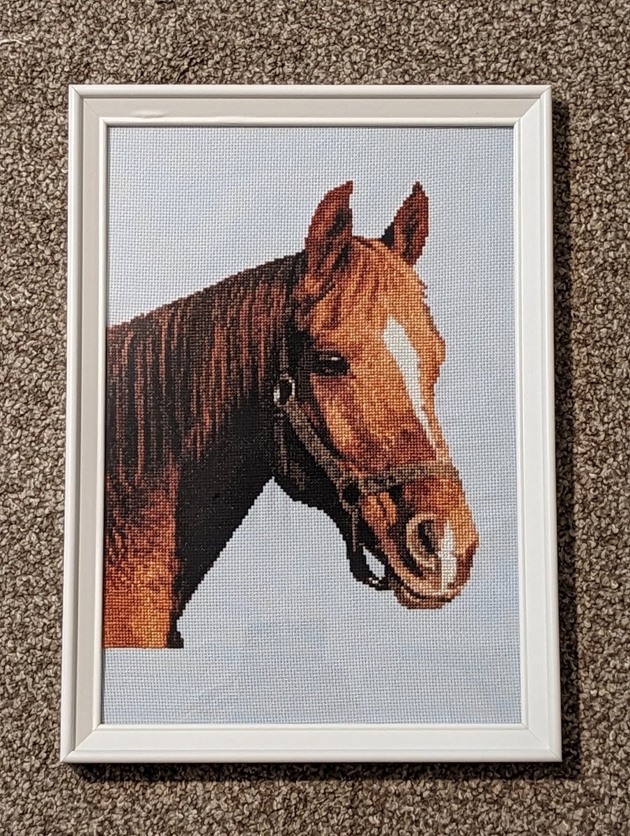 Danielle Hill tweet media