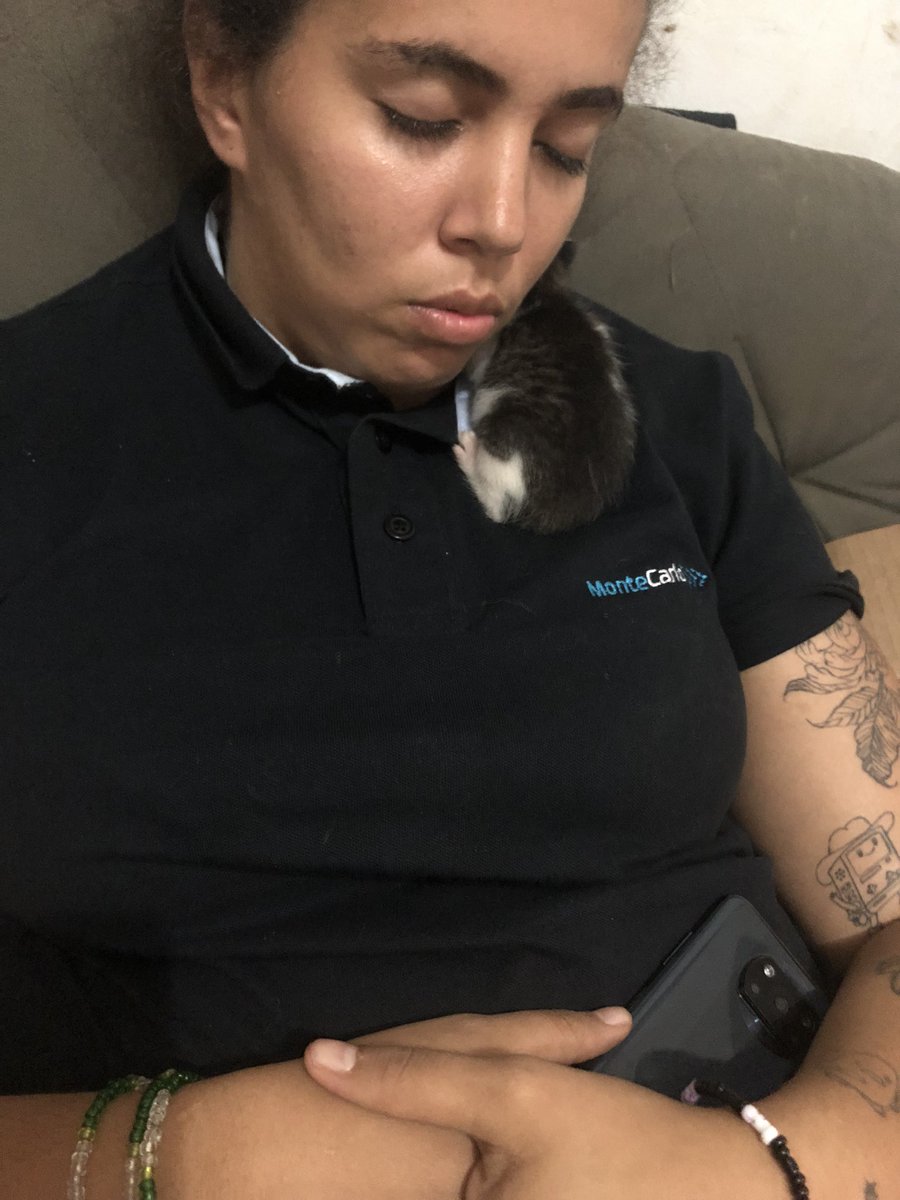 ven_caa's tweet photo. @poxakatiane fez o gatinho dormir ou o gatinho fez a katiane dormir ? eis a questão https://t.co/IV0vzNdIJx