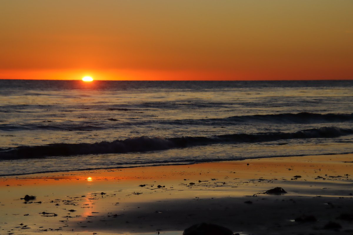 AdmiredArt tweet media