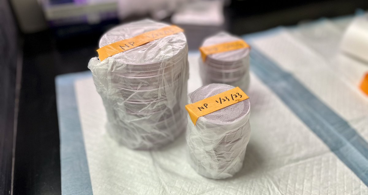 Having the first graduate student in the lab is like a magic. Got actual things made and experiments done - so happy to see our research is growing from baby steps. Writing down the date for those plates is when I realized that I came to this country eight years ago from today 😊