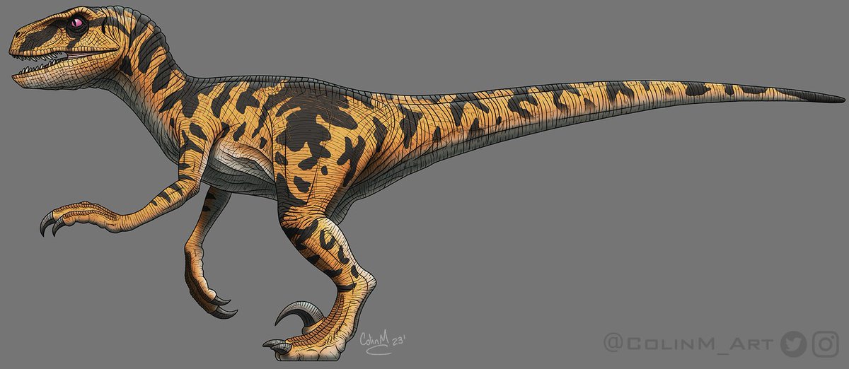 Papercraft Pangea on Twitter: