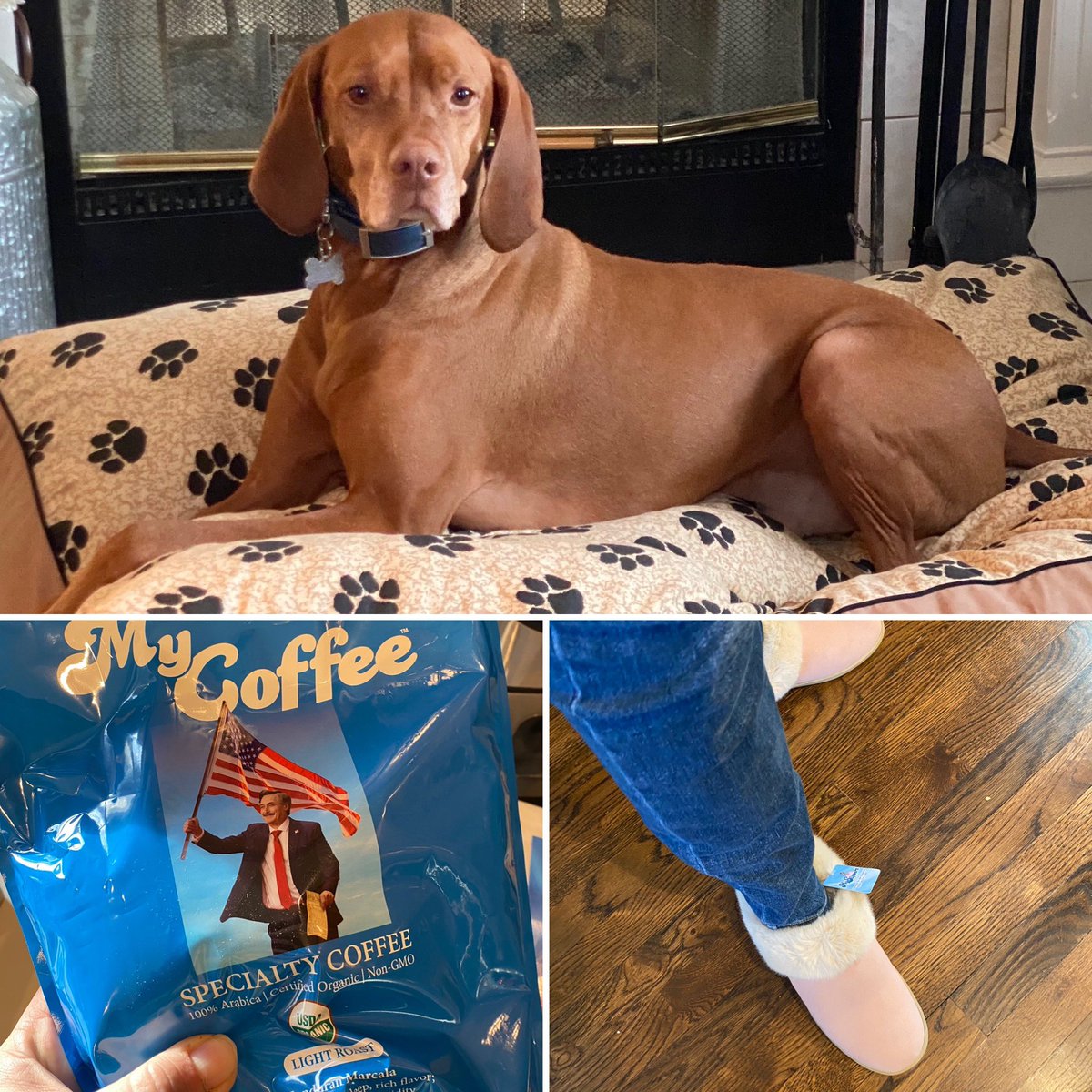 Chris Stigall on Twitter "Very excited to launch our partnership with