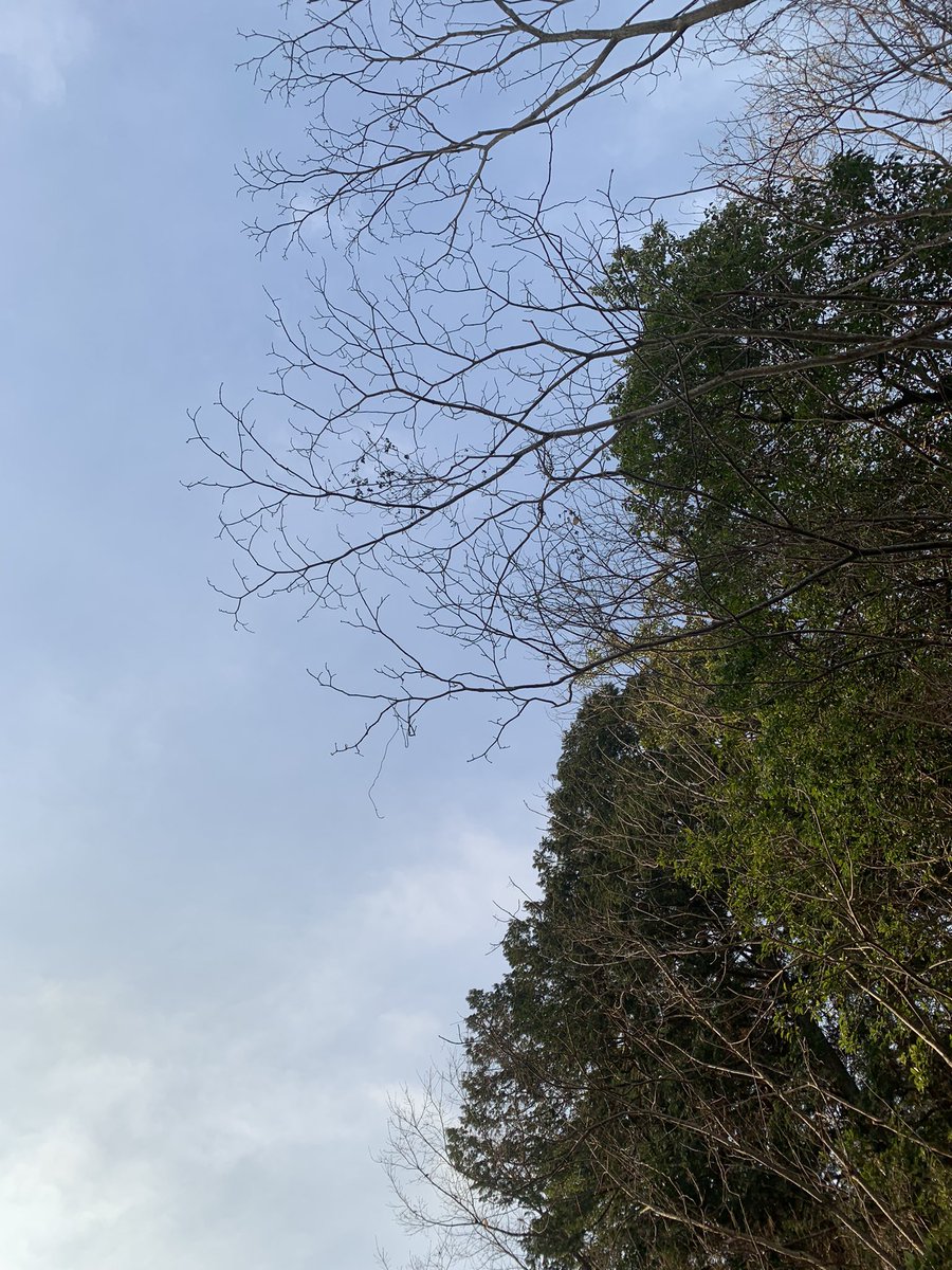 滋賀県草津市の空。
今朝は暖かいけど、天気予報によると午後から雪が降るらしい。
ホンマかな？
でも、冬やしな、雪も降るわな…