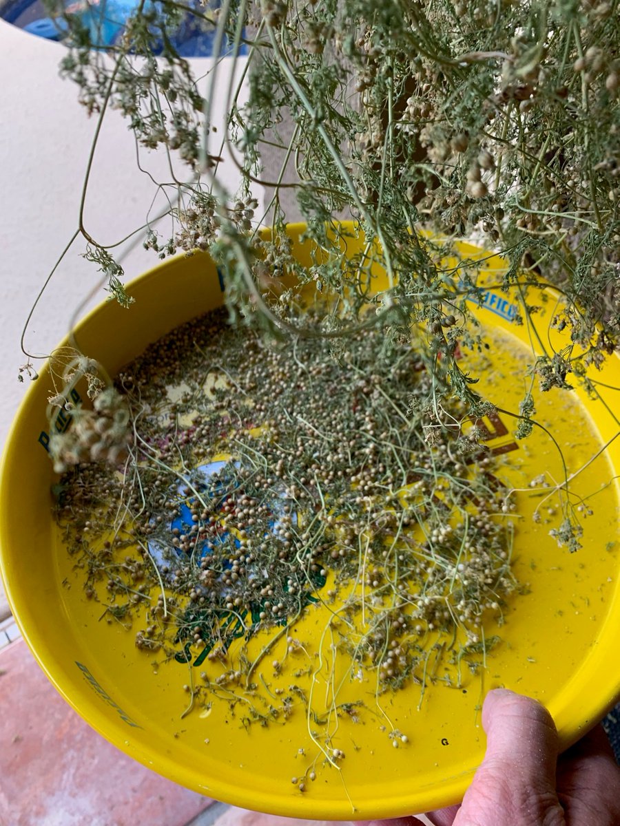 Steve, Reggie's dad on Twitter "End of garden, May 2021, we let our