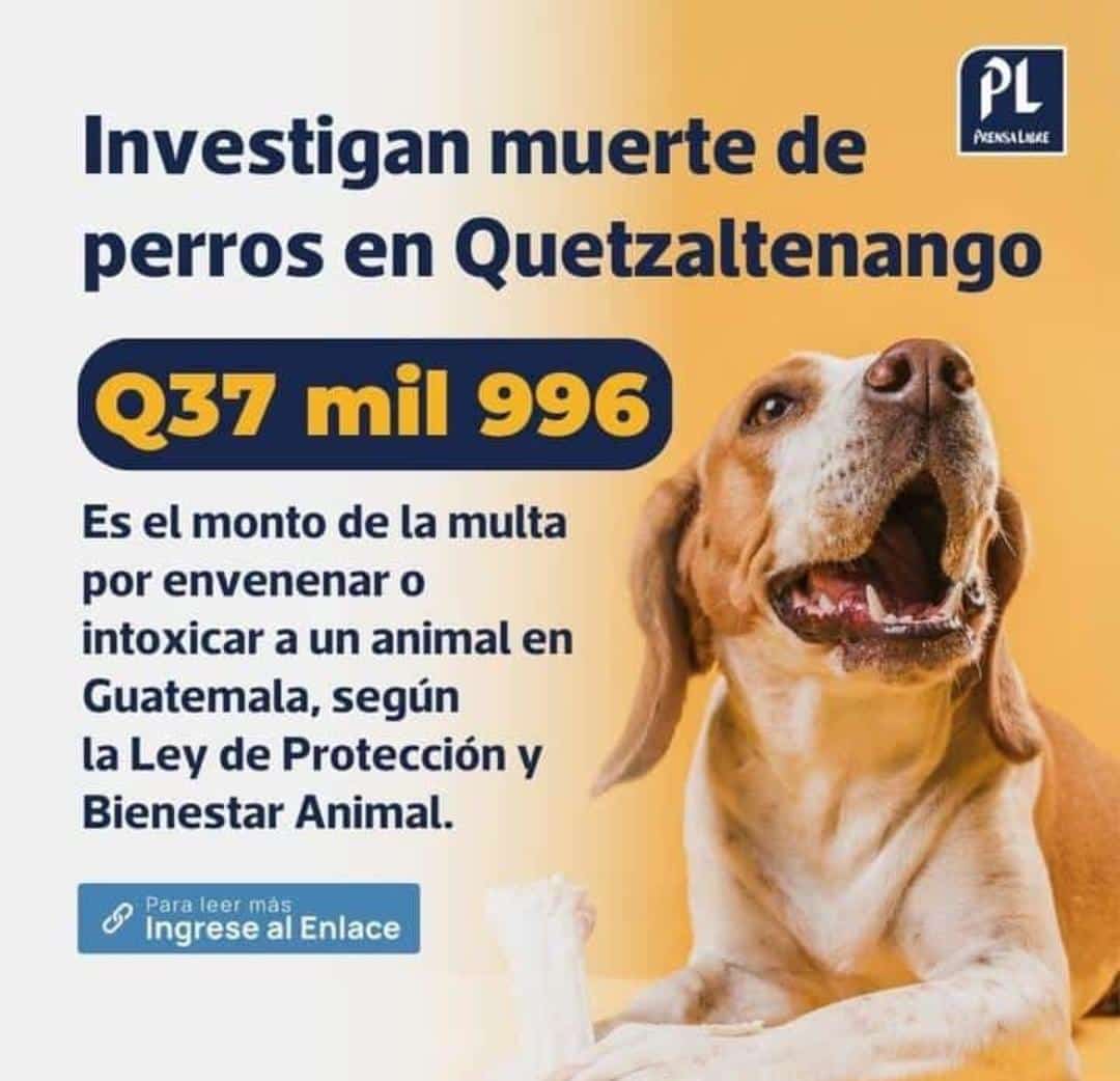 Ojala las autoridades hagan justicia. Aunque cualquier precio se queda corto y parece totalmente injusto.
Indignación total!!!