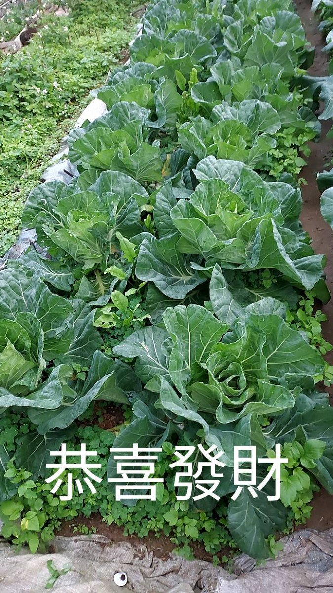 早安ˋ天氣變冷了ˋ請大家要做好保暖工作？祝福大家
年年有餘ˋ事事順心