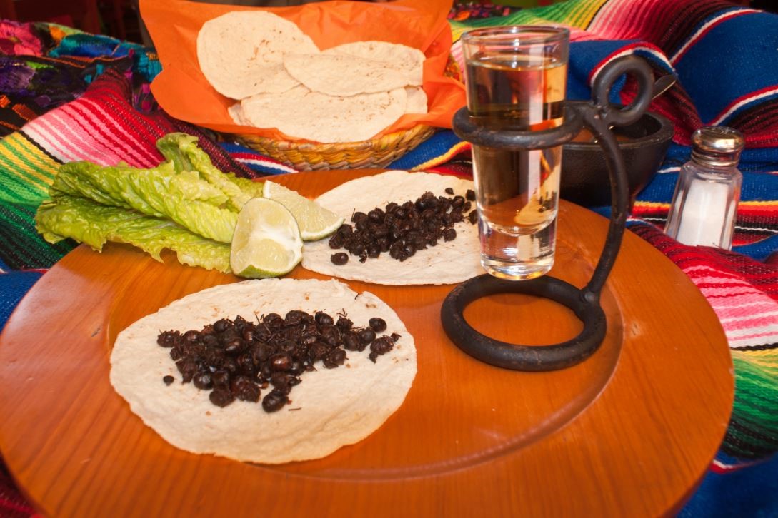 Uno de los alimentos exóticos de la #CocinaDeMéxico es el nucú, una especie de hormiga que puede saborearse sola o en diversos platillos, principalmente la consumen en #Chiapas.🙌🇲🇽