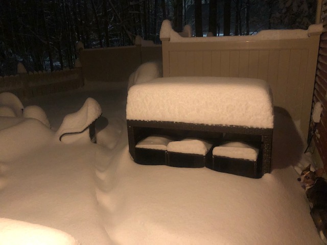 And THIS, is why I wanna move to <a href="/VISITFLORIDA/">VISIT FLORIDA</a> #Florida! (My back yard...right now.) Notice my <a href="/TheDailyCorgi/">The Daily Corgi</a> <a href="/CardiganCorgiHQ/">Cardigan Welsh Corgi Association</a> is as confused by this winter deluge as I am. 🐶❄️🌨️☃️ #winterinmaine