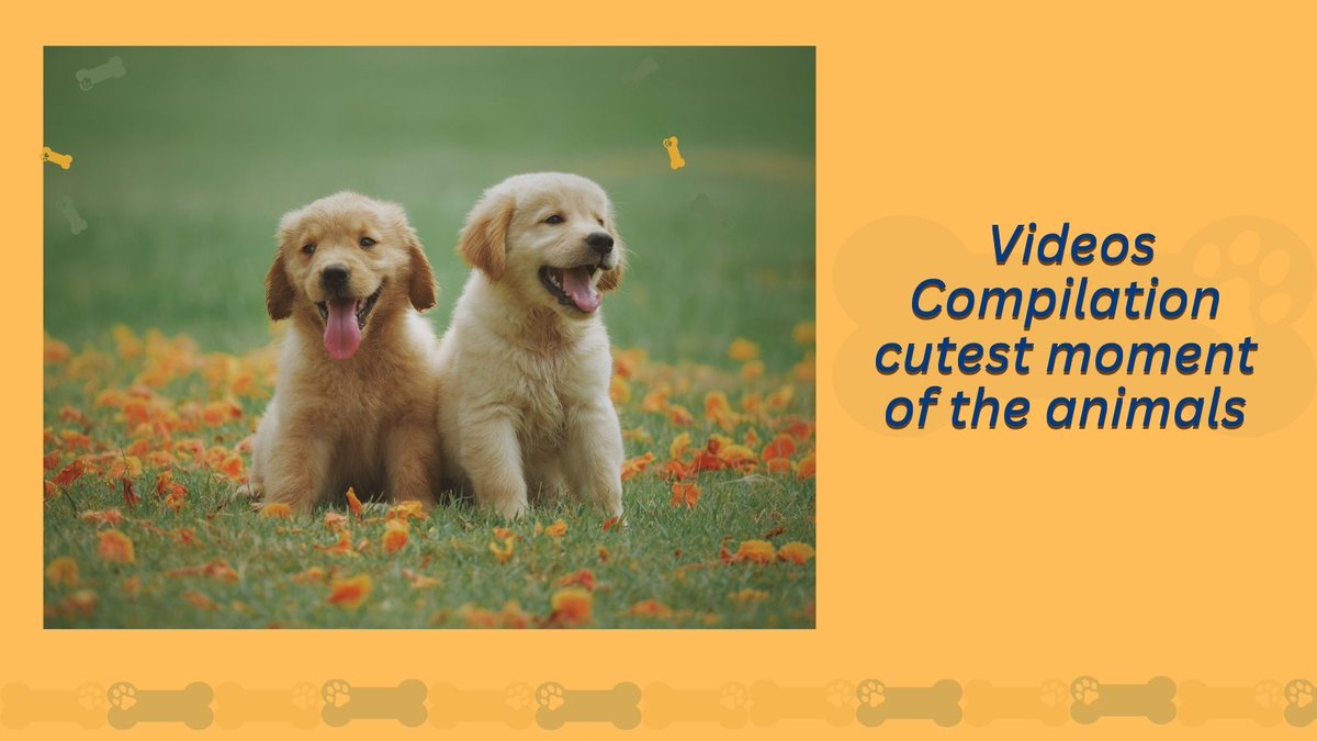 Cute baby animals Videos Compilation cutest moment of the animals.
nowdoggy.com/cute-baby-anim…
#dog #dogs #pet #pets #cat #cats #dogstore #catstore #petstore #dogtips #cattips #pettips #doglover #petlover #catlover #puppy