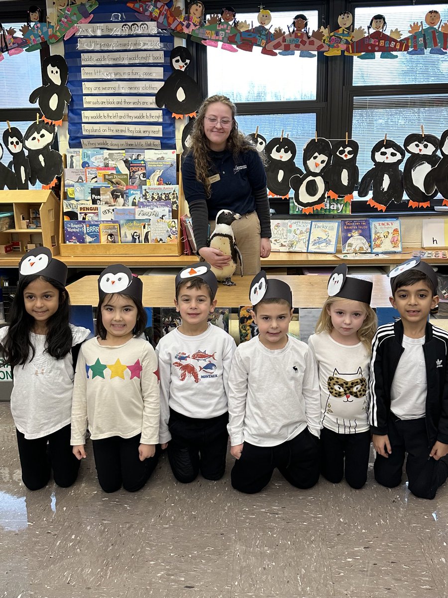 BurnetHillElem's tweet photo. Burnet Hill had a special visitor all the way from Jenkinson’s Aquarium! Thank you for bringing “Captain Jack Sparrows”, our guest penguin, to visit K-M and K-R!! https://t.co/qpMaj0izBl