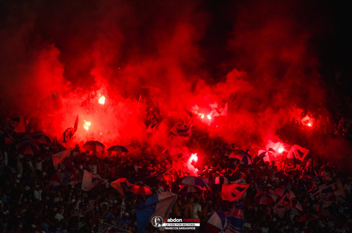 UNA SOLA HINCHADA 🇳🇱